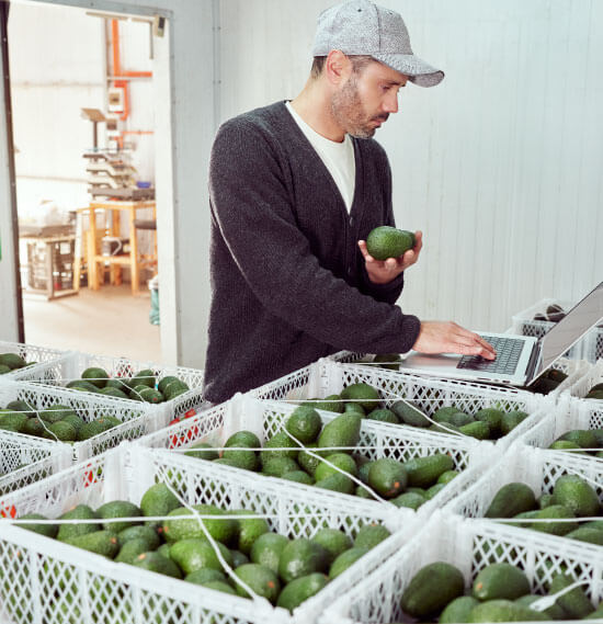 venta de equipos de refrigeración industrial