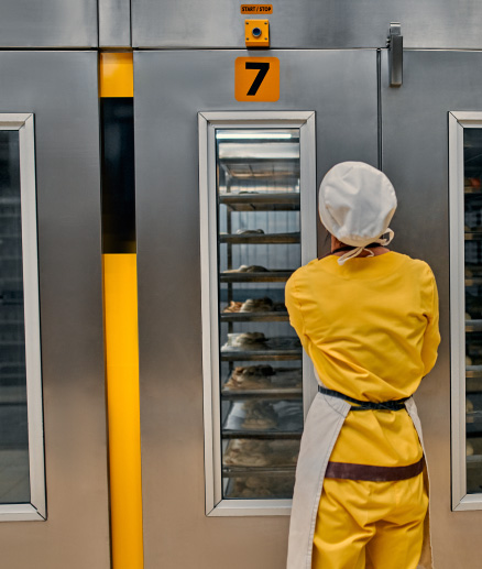 Maquinaria para refrigeración industrial